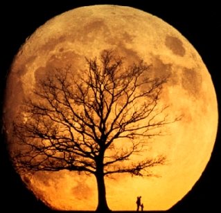 orangemoon2.jpg, 78 KB